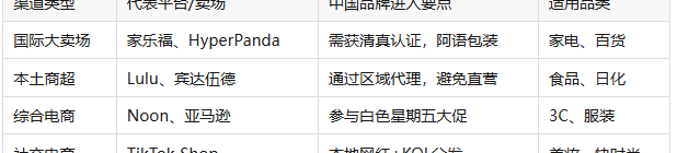 中国品牌出海中东：解码5亿人口的沙漠电商蓝海
